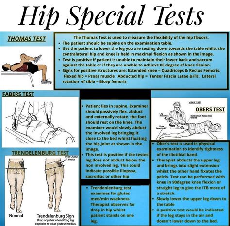 axial compression test hip|special hip exam tests.